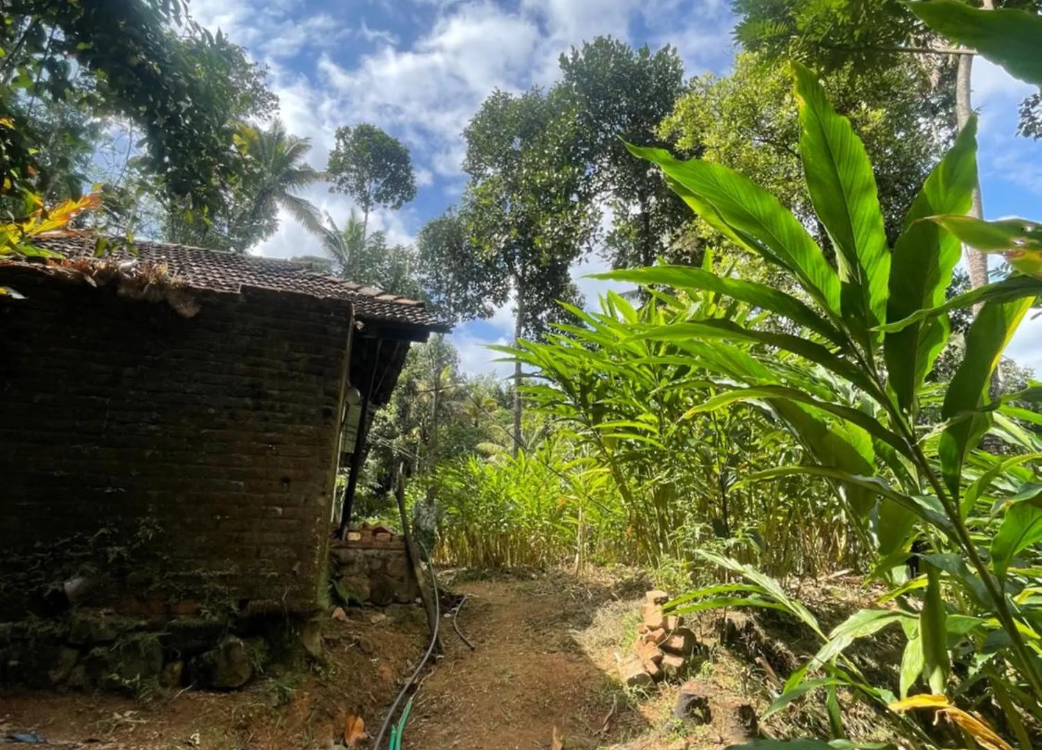 Anaviratty Green Moon Munnar Homestay הודו