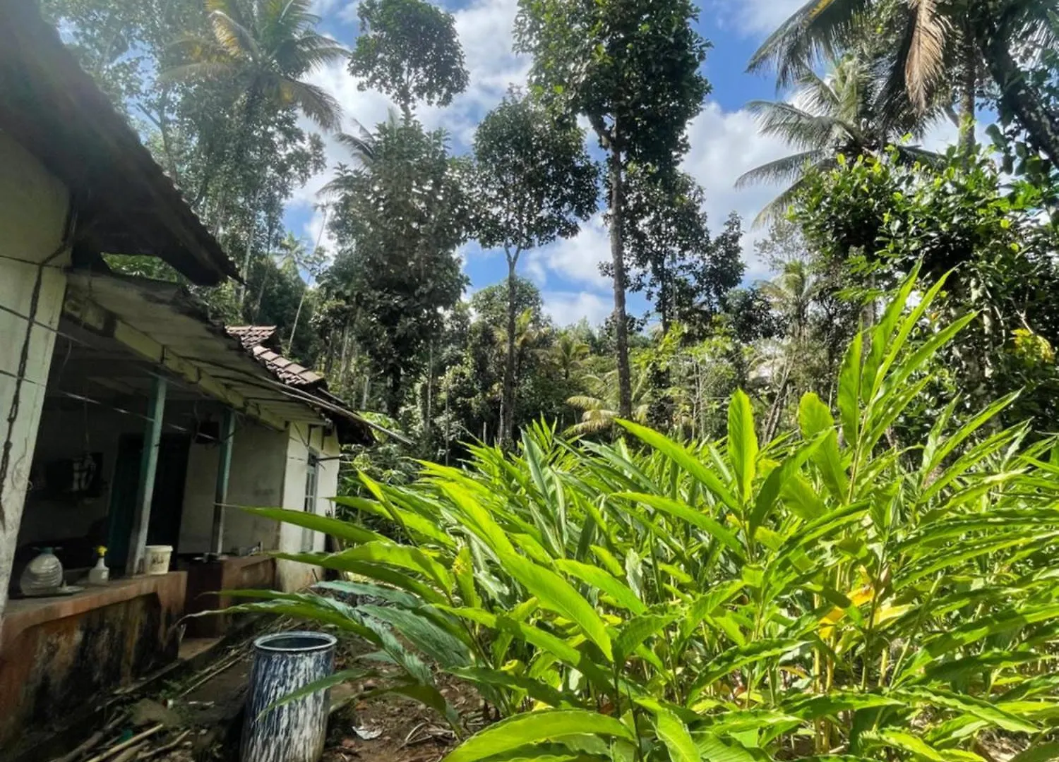 Green Moon Munnar Homestay Anaviratty